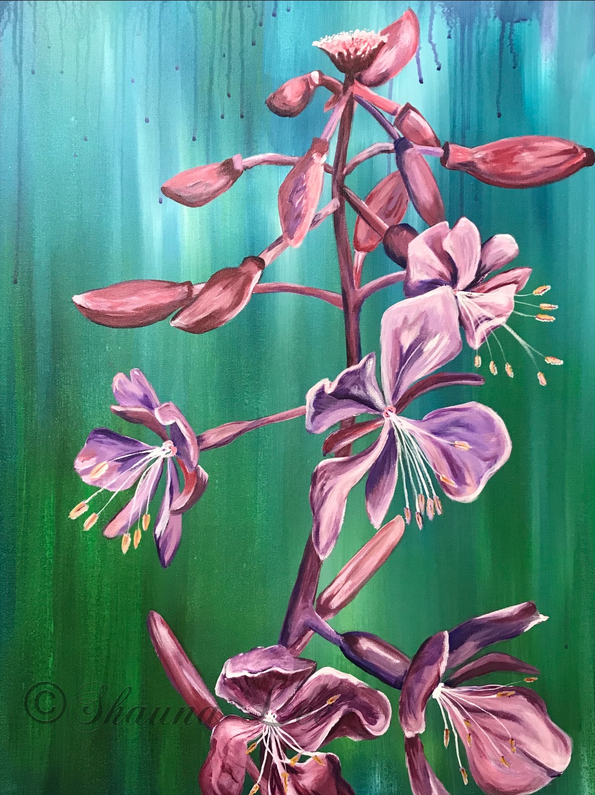 Original Alaska Fireweed Painting