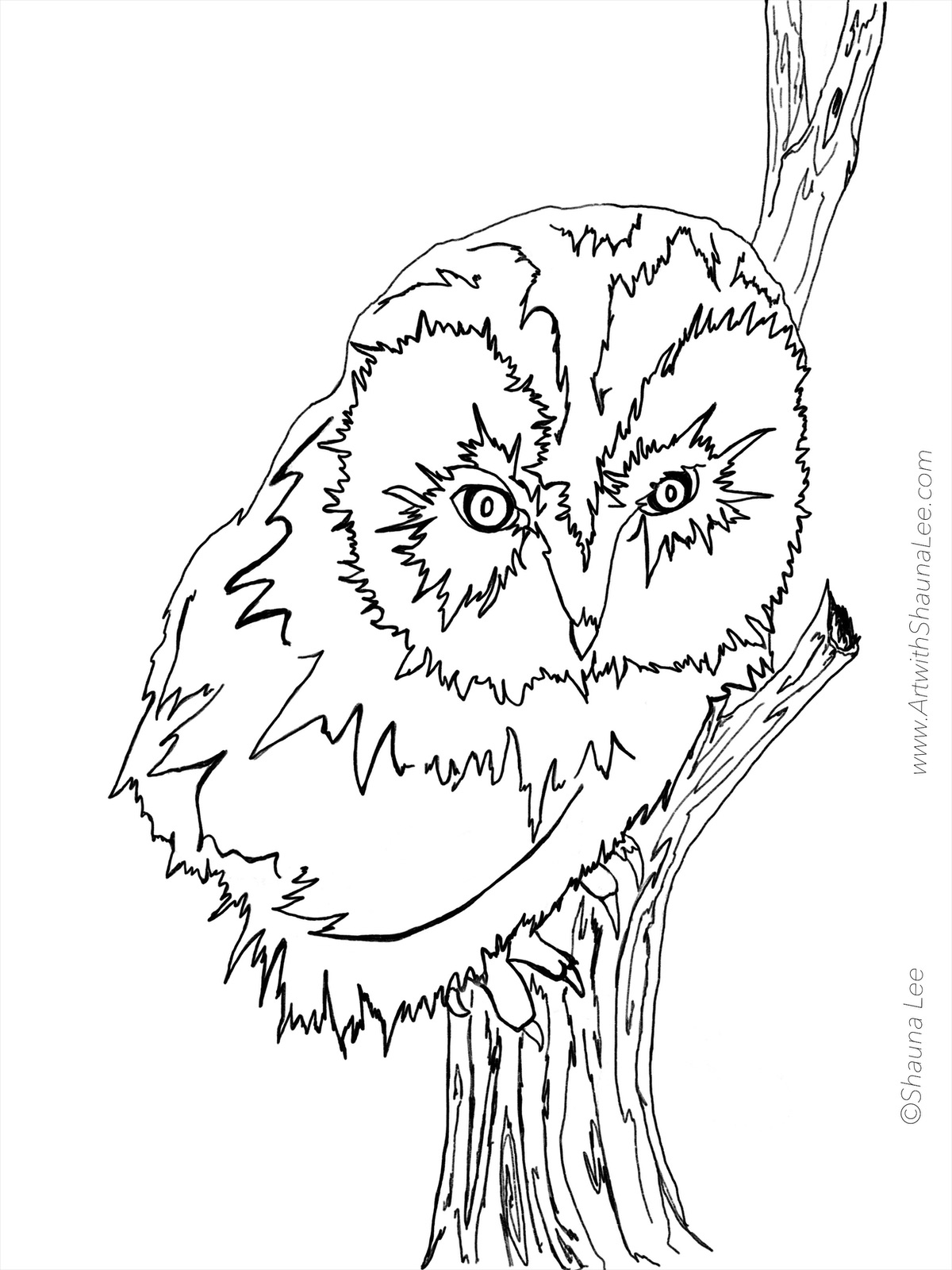 Owl coloring page | Art with Shauna Lee